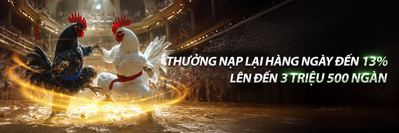 Đá Gà 13win1 chính thức